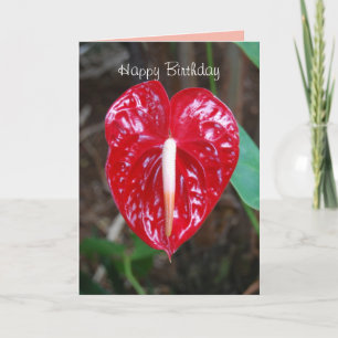 Verjaardag Echtgenoot Rode Hart Anthurium Lelie Bl Kaart