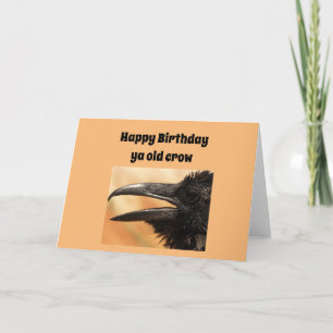 Verjaardag gefeliciteerd ouwe kraai kaart
