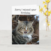 Verjaardag gemist Kat Foto Groet Kaart (Gele Bloem)