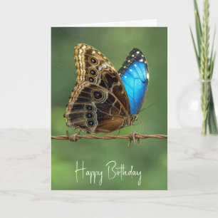 Verjaardag Gewone Morpho Vlinder op Prikkeldraad Kaart