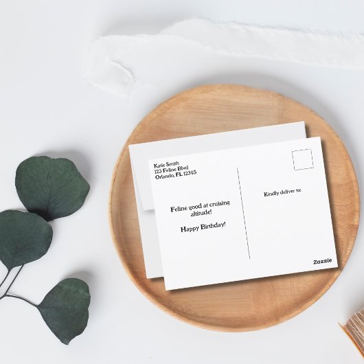 Verjaardag Grappige Kat Piloot & Vliegtuig Luchtva Briefkaart