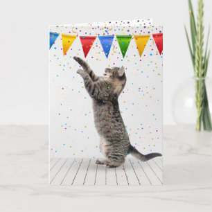 Verjaardag grijze tabby kat in Confetti Kaart