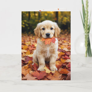 Verjaardag Herfst Goud Retriever Puppy Kaart