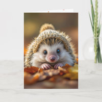 Verjaardag Herfstegels met gebreid Pet
