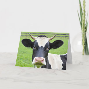 Verjaardag Holstein Koe in de wei Kaart