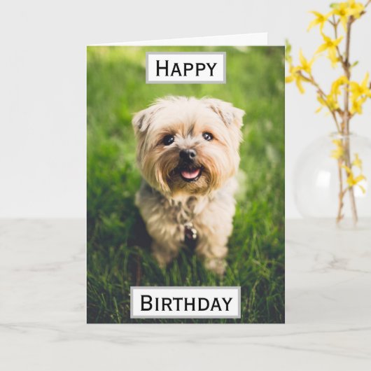 Verjaardag Hond Papa's Aller Beste Eer ever Dieren Kaart (Gele Bloem)