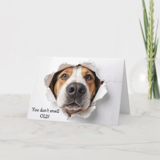 Verjaardag Hound Dog Face In Paper Hole Kaart (Voorkant)