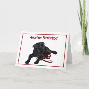 Verjaardag Humor Black Labrador Retriever Kaart