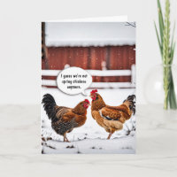 Verjaardag Humor kippen in sneeuwvlokken