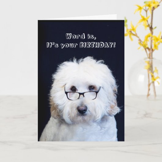 VERJAARDAG - HUMOR MET ZWARTE RAND/HONDENBRIL KAART (Gele Bloem)