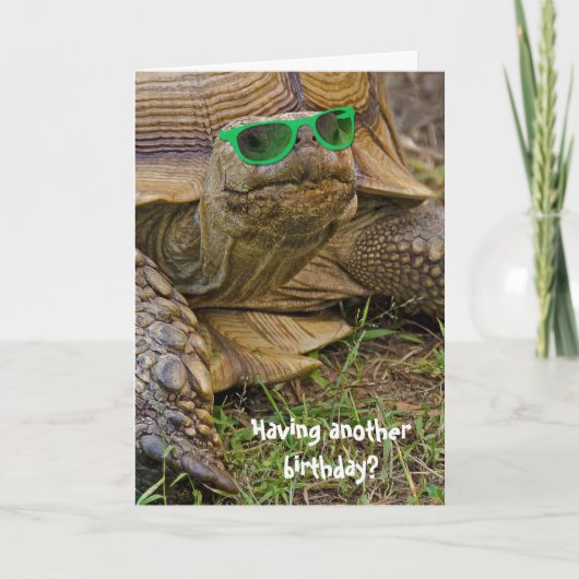 Verjaardag humor-oude schildpad in groene bril kaart (Voorkant)