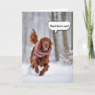 Verjaardag Ierse setter die in sneeuw loopt Kaart