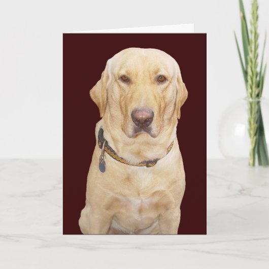 verjaardag kaart (Voorkant)