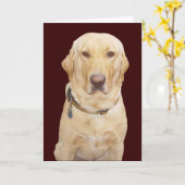 verjaardag kaart (Gele Bloem)