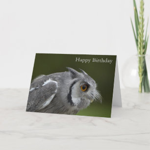 Verjaardag Kaart - Baby Grey Owl