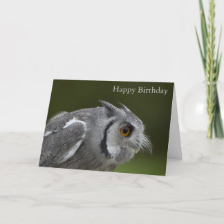 Verjaardag Kaart - Baby Grey Owl