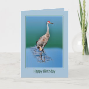 Verjaardag Kaart met Baby Sandhill Crane