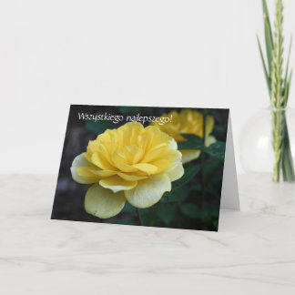 Verjaardag Kaart Sto Lat Yellow Rose
