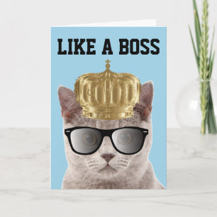 VERJAARDAG KAARTEN VOOR KAT ALS EEN BAAS