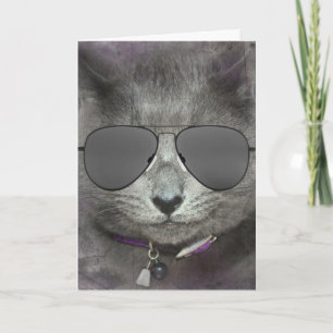 Verjaardag Kat met Aviator Zonnebril Kaart