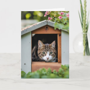 Verjaardag Kat Verbergen in Hondenhuis Kaart