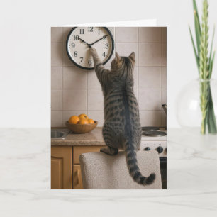Verjaardag Kat voor Ouder Worden Humor Kaart