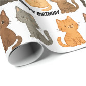 Verjaardag Kitten Collectie Cadeaupapier (Rol Hoek)