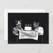 Verjaardag Kittens Briefkaart (Voorkant / Achterkant)