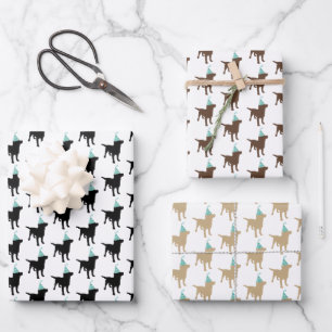 Verjaardag Labrador Gemengde Kleuren Hond in Feest Inpakpapier Vel