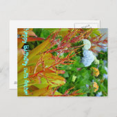 Verjaardag met Aloha briefkaart (Voorkant / Achterkant)