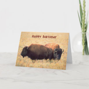 Verjaardag met een paar bizons op de prairie kaart