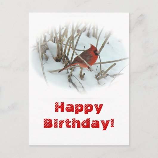 Verjaardag Oosterse Kardinaal Songbird Briefkaart (Voorkant)