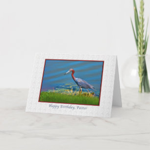 Verjaardag, pastoor, kleine blauwe reiger kaart