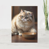 Verjaardag Perzische Kat Humor Kaart (Voorkant)