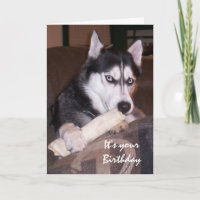 Verjaardag Plezier Husky Vul de dag