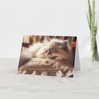 Verjaardag Ragdoll Kitten op kussen