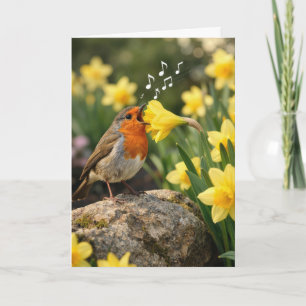 Verjaardag Robin die in een lente narcis zingt Kaart