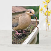 Verjaardag rouwende duif op een goot met een worm kaart (Gele Bloem)