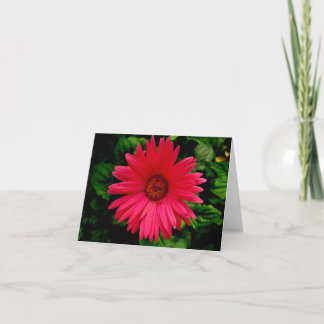 Verjaardag - Roze bloem-Klein Kaart
