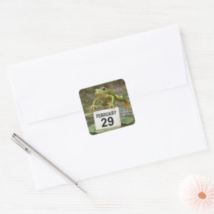 Verjaardag Schrikkeljaar Kikker Vierkante Sticker