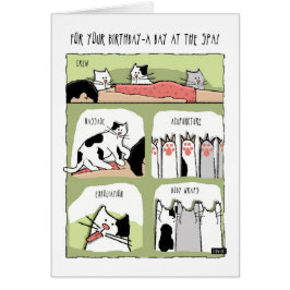 Verjaardag Spa Behandelingen met Katten