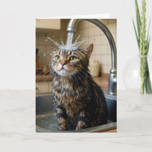 Verjaardag Tabby Kat Onder een Keuken Kraan Kaart