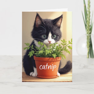 Verjaardag Tuxedo Kitten met Catnip Plant Kaart
