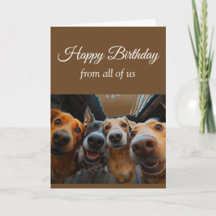 Verjaardag van de groep leuke honden huisdieren kaart
