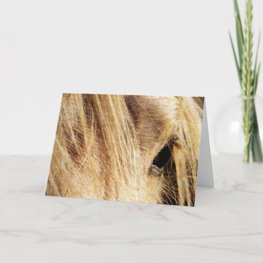 Verjaardag van de rommelige manen kaart (Voorkant)