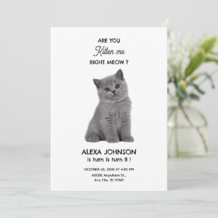 Verjaardag van een knuffelbaar kitten  kaart