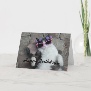 Verjaardag van Feline Diva Kaart