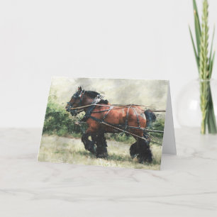 Verjaardag van het Draft Horse Team Kaart