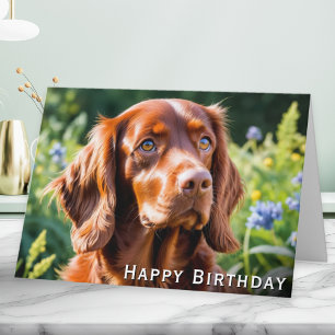 Verjaardag van Ierse Rood Setter-hondliefhebber Kaart