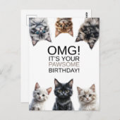 Verjaardag van kattenvrouw | OMG! Het is grappig d Briefkaart (Voorkant / Achterkant)